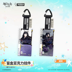 Arknights Blind box Acrylic Pendant-Pass Certification 29.0