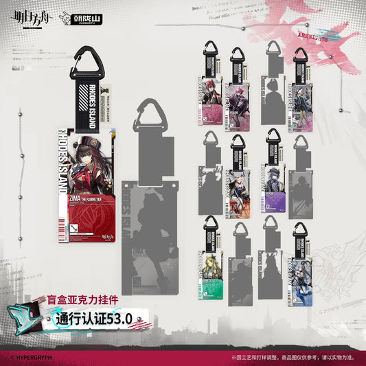 Arknights Blind box Acrylic Pendant-Pass Certification 53.0